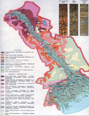 Почва Астраханской области